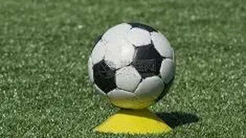 河北体育公园建设成果全国领先，新增数量与指导目标达成率双冠榜首